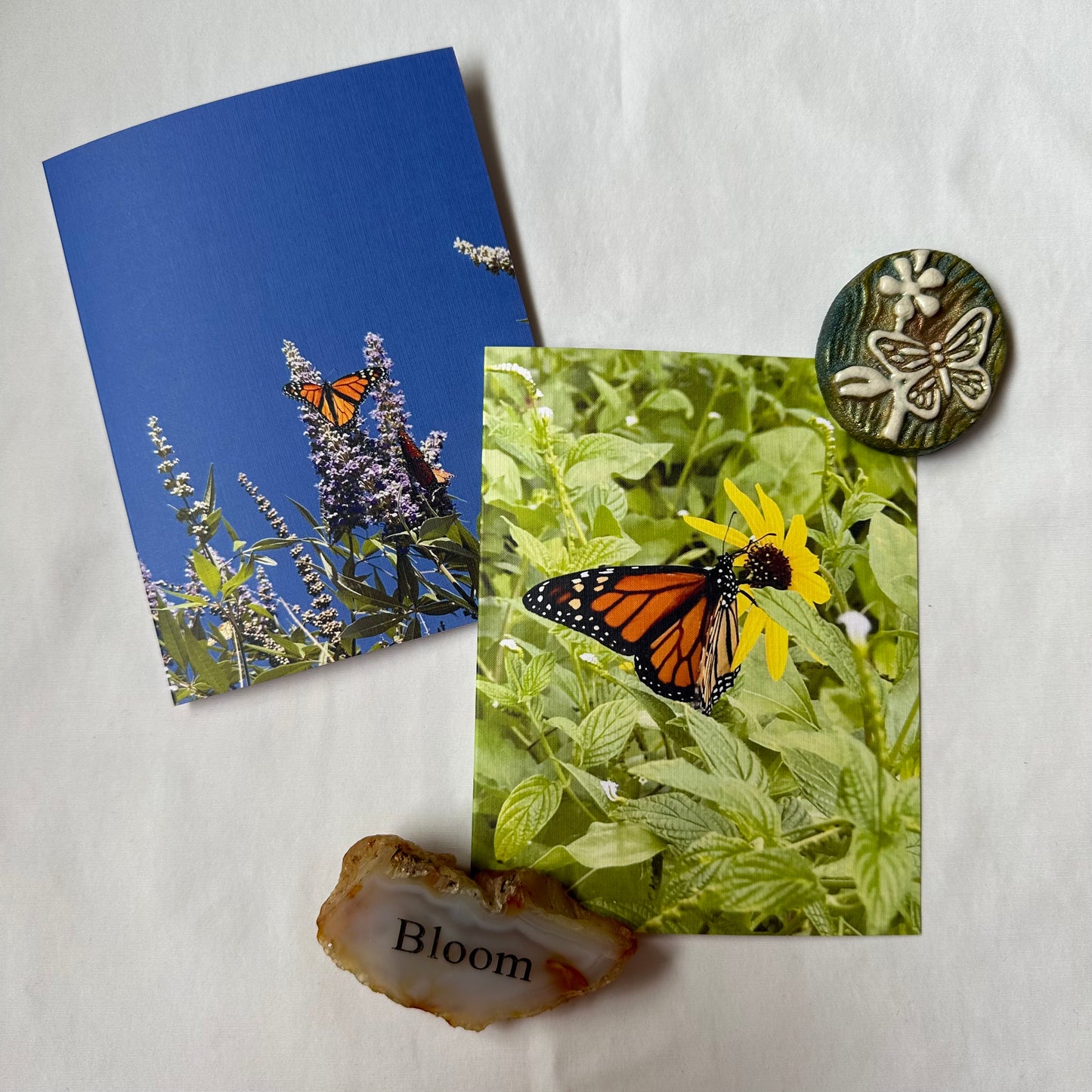 Butterfly Delight Set of Two Original Photography Greeting Cards with White Envelopes