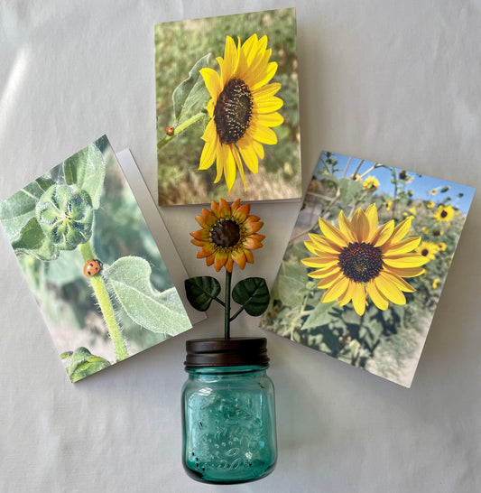 Sunflower Lucky Ladybug Greeting Cards Boxed Set of 6 with Kraft Envelopes