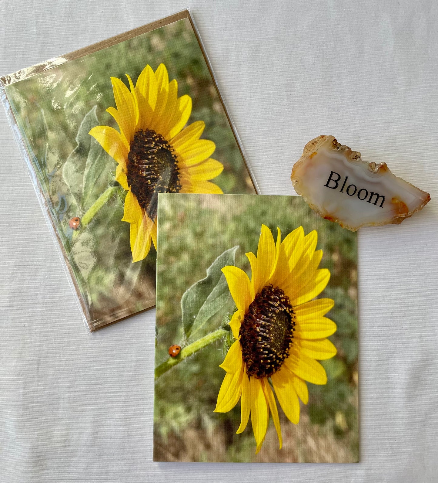 Sunflower Ladybug Nature Photography Single Greeting Card with Kraft Envelope