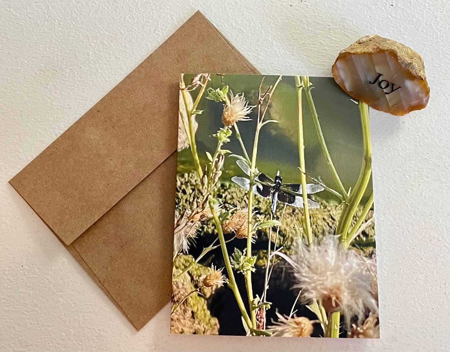 Dragonfly Nature Photography Single Greeting Card with Kraft Envelope