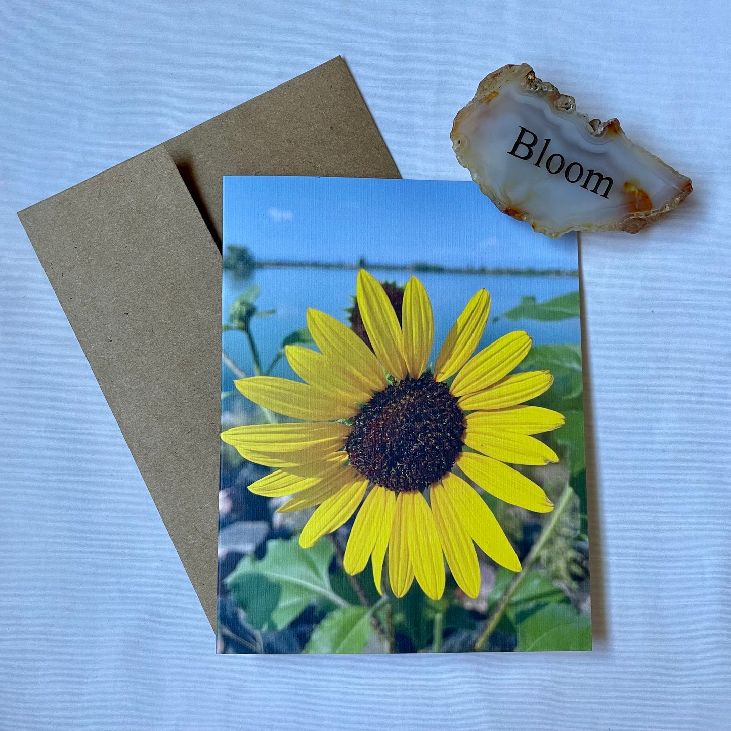 Sunflower Collection Assorted Greeting Cards Set of 6 with Kraft Envelopes