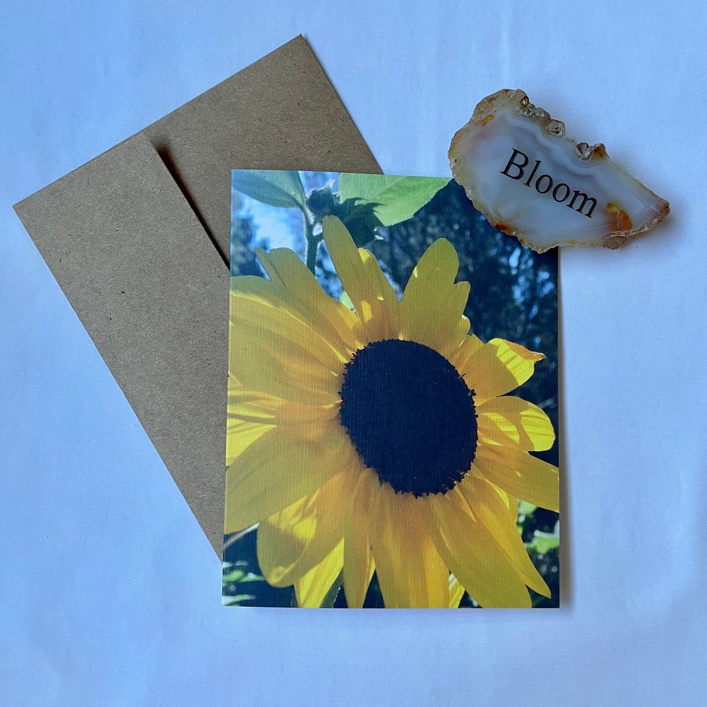 Sunflower of Light Nature Photography Single Greeting Card with Kraft Envelope