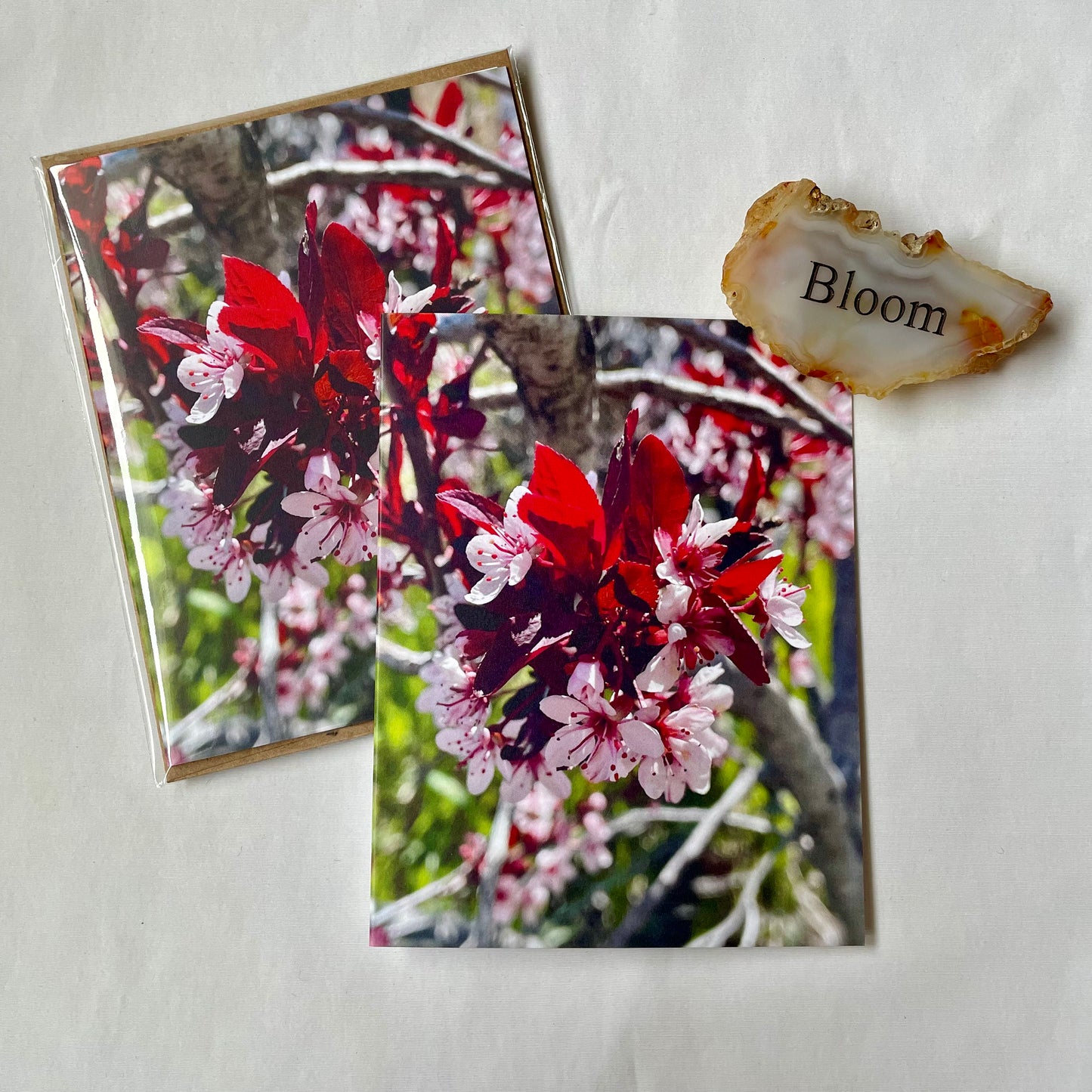 Celebration Blossoms Original Photography Greeting Card with Kraft Envelope